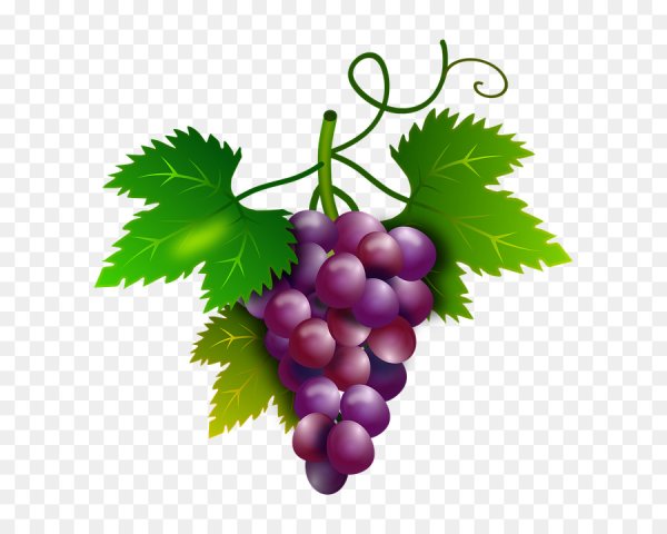 Кисть винограда