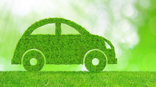 Влияние транспорта на экологию