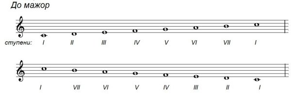 Ступени гаммы до мажор