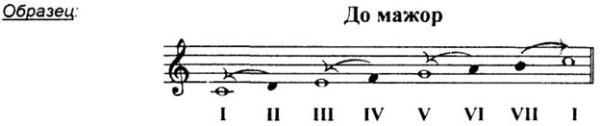 Ступени гаммы до мажор