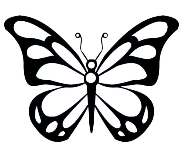 Бабочка рисунок карандашом для детей