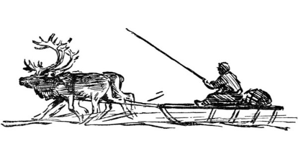 Оленья упряжка вектор Ненец