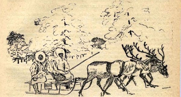 Оленья упряжка Графика рисунок