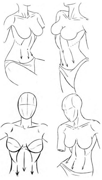 Женская талия референс