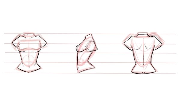 Женское тело референс