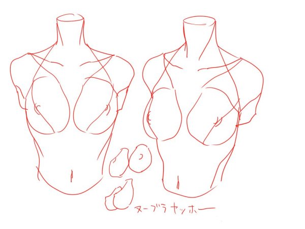 Анатомия тела для рисования