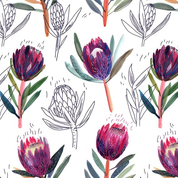 Протея вектор