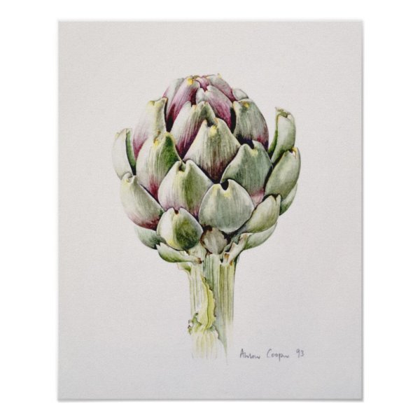 Ботаника акварель артишок