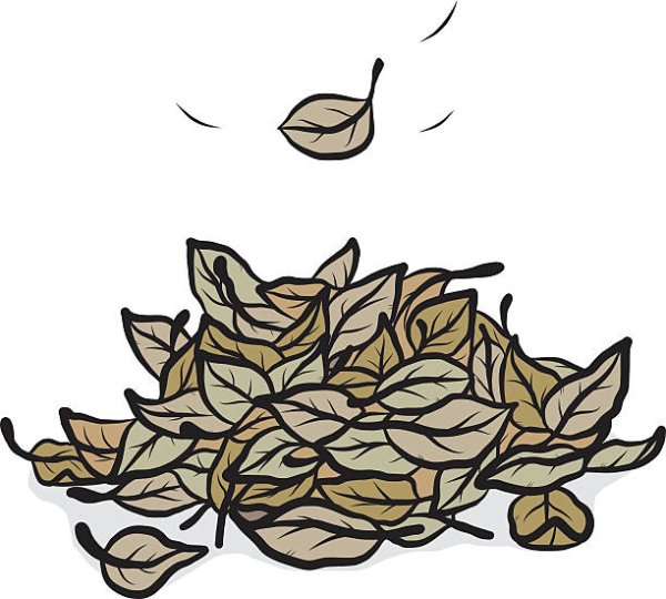 Опавшая листва вектор