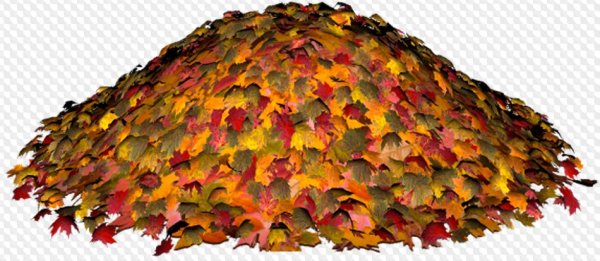 Куча листьев