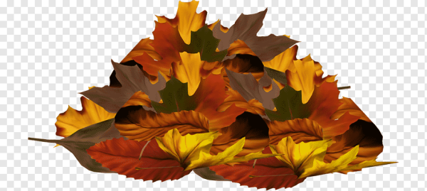 Кучка листьев