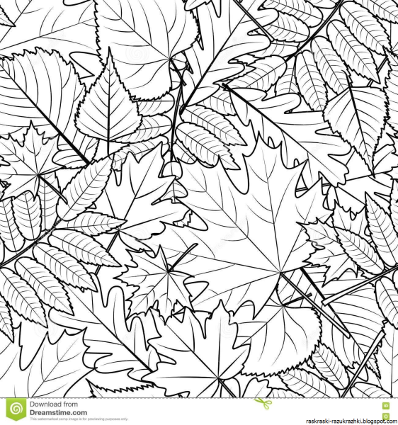 Раскраска осенний ковер из листьев