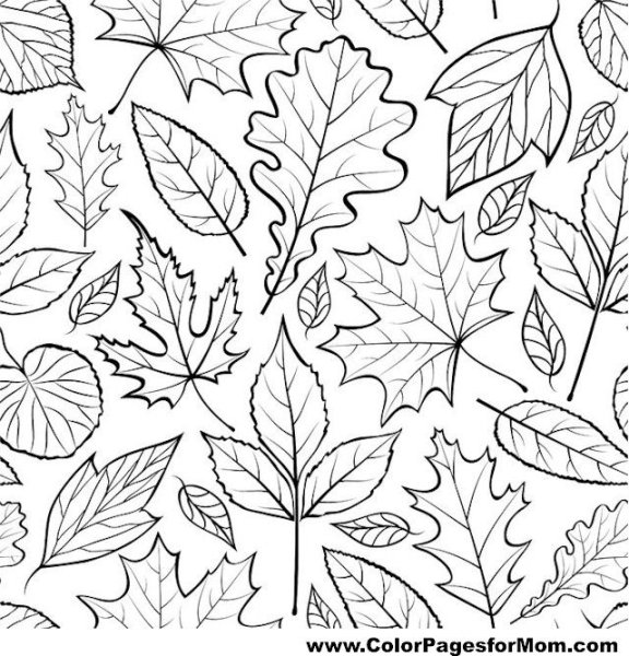 Чёрно - белый орнамент из осенних листьев