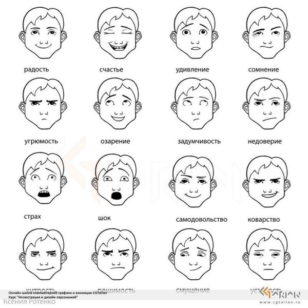 Мимика человеческого лица схема