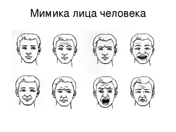 Мимика лица