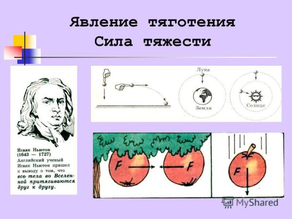Закон Всемирного тяготения Ньютона для детей
