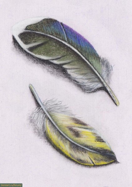 Перо для рисования