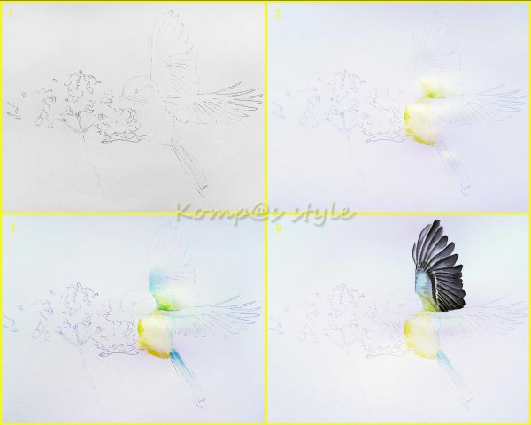 Рисовать синицу с перьями