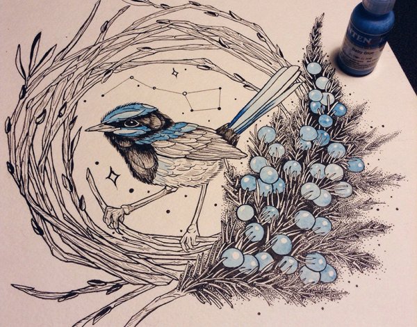 Зарисуйте перья птиц