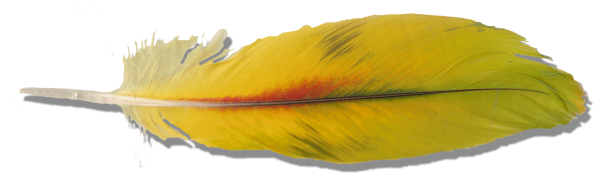 Синичка фломастерами