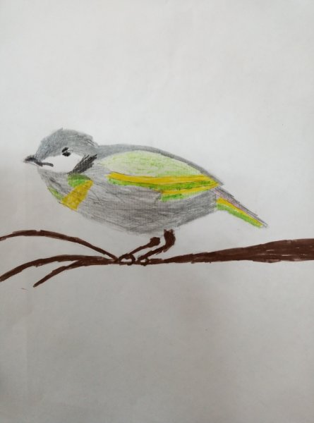 Перо раскраска