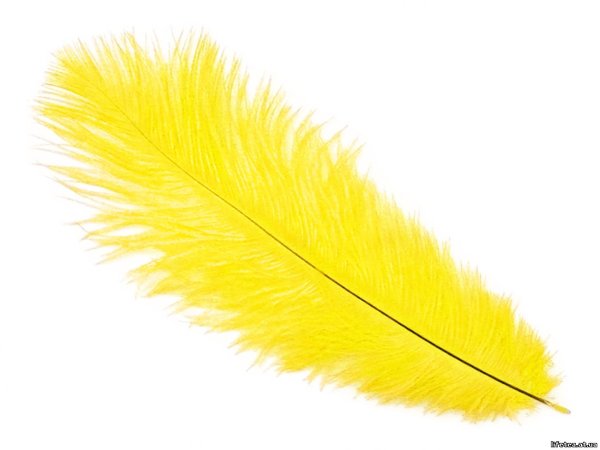 Перо раскраска для детей