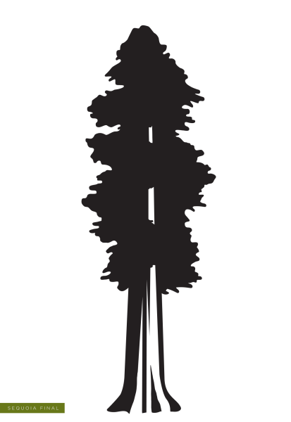 В лесу. Раскраска