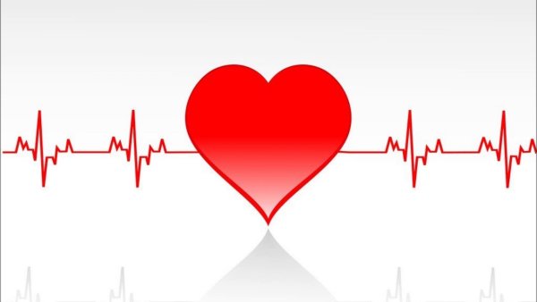 Диаграмма сердца