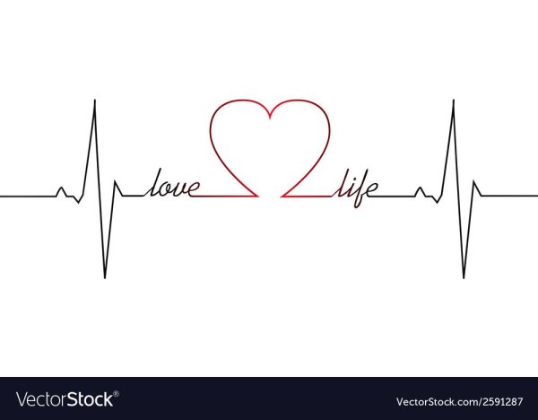 Пульс сердца