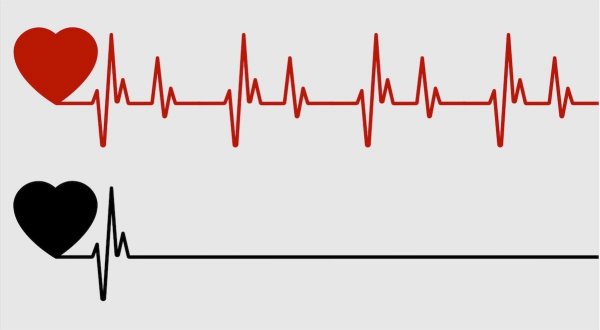Сердце с линией кардиограммы