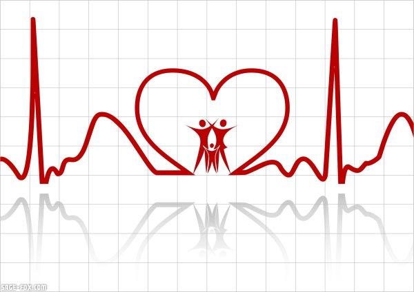 Виды кардиограмм