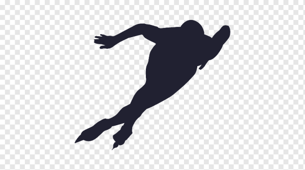 Конькобежный спорт силуэт