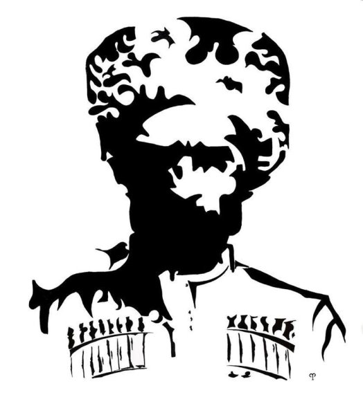 Горец рисунок