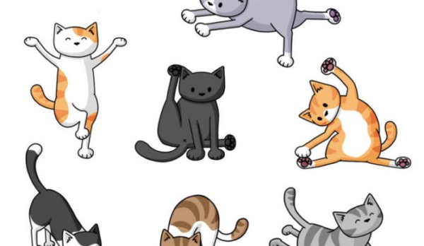 Кот занимается йогой рисунок