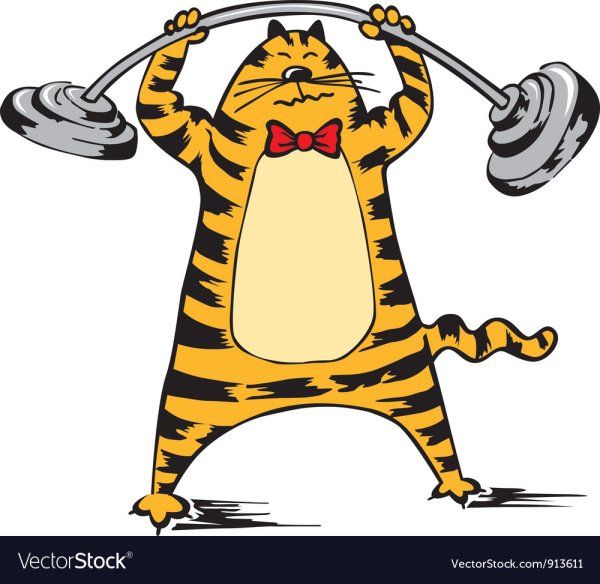 Кот с гантелей