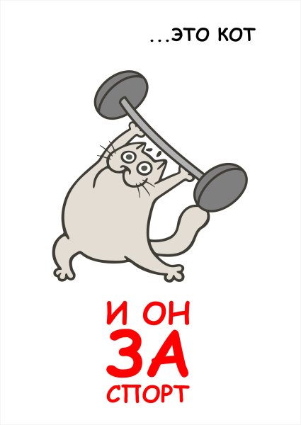 Котики и спорт