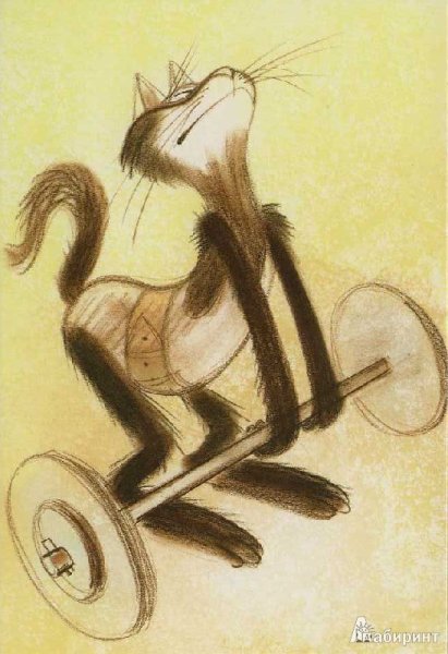 Рисованные коты спортсмены