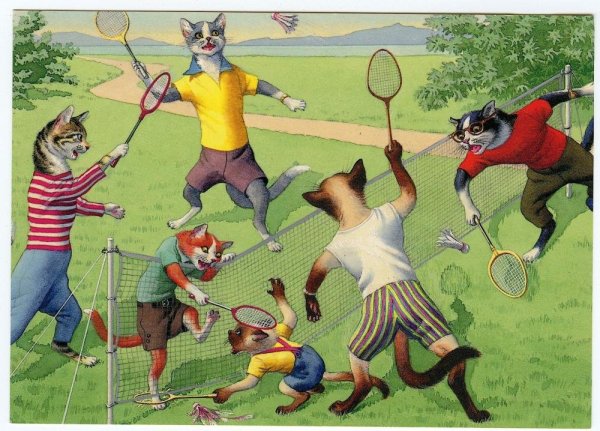 Коты и спорт