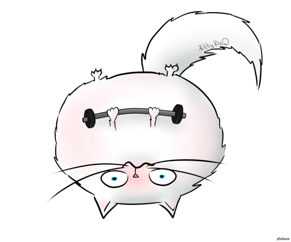 Спортивный кот рисованный