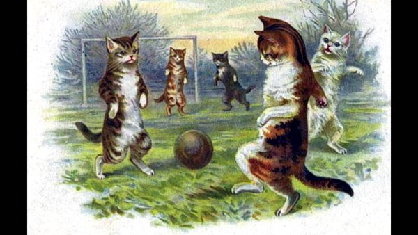 Коты играют в мяч