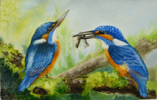 Зимородок для детей