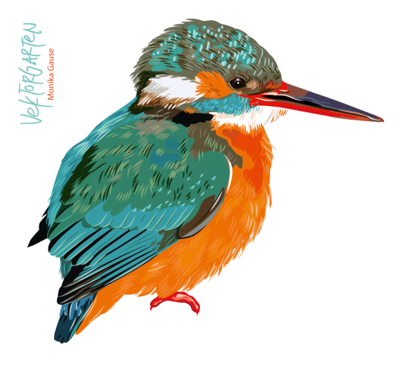 Зимородок для детей