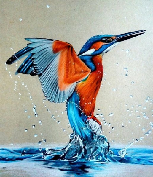 Зимородок Геншин