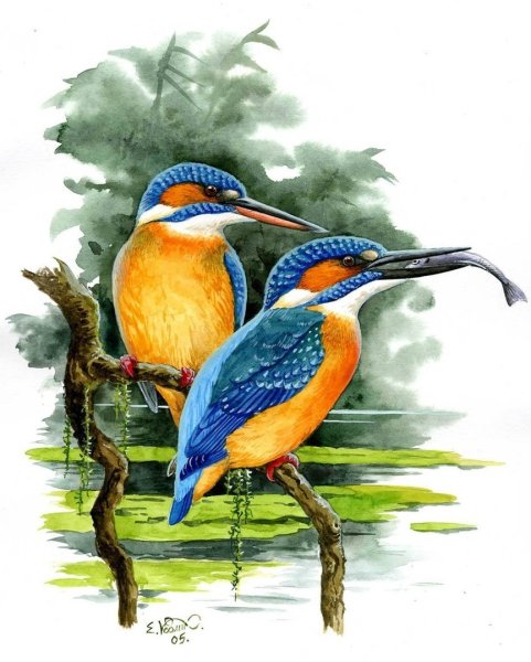 Евгений Коблик птицы