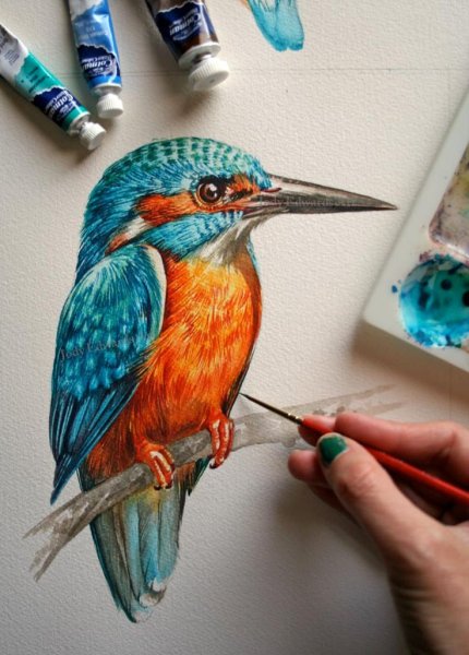 Птица Зимородок акварель