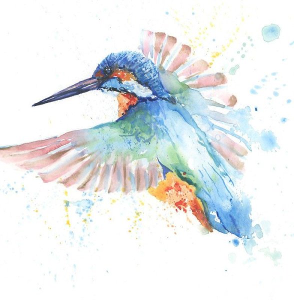 Красивые птицы акварелью