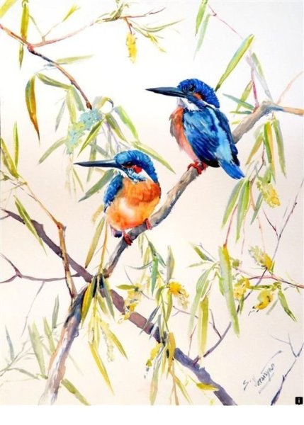 Птица Зимородок акварель