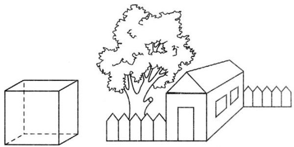 Нейропсихологическое обследование стимульный материал