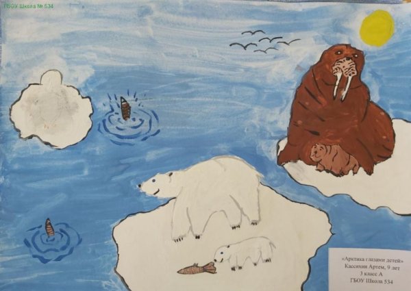 Конкурс рисунков по Арктике