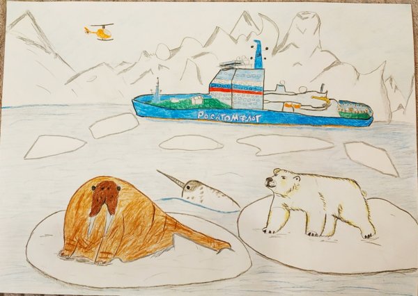 Арктика конкурс рисунков